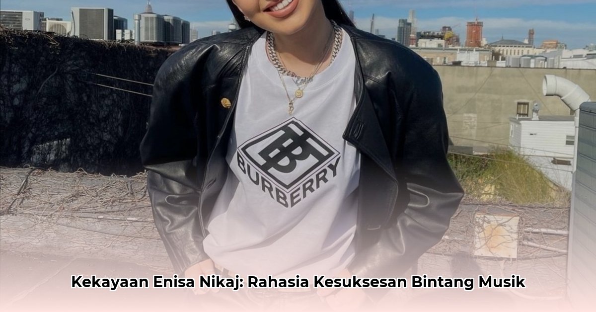 enisa nikaj net worth